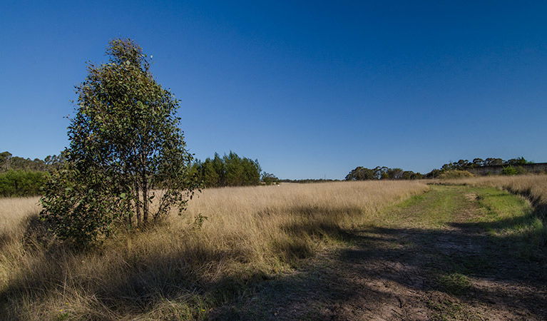 Oakville NSW Tourism Canberra