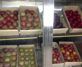Canoelands Orchard - Tourism Canberra 1