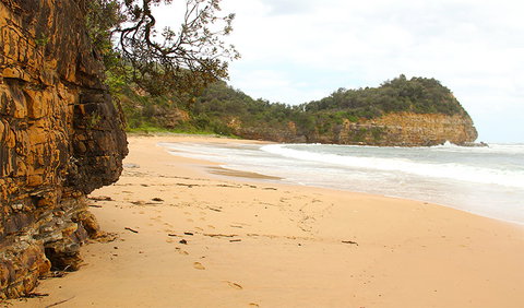 Bouddi Coastal Walk - Tourism Canberra 1