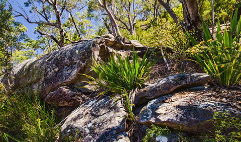 Canoelands Ridge Walking Track - Tourism Canberra 1