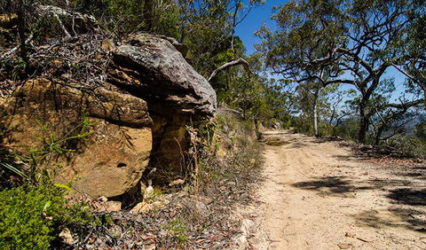 Canoelands Ridge Walking Track - Tourism Canberra 0