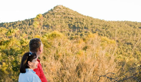 Piles Creek Loop - Tourism Canberra 0