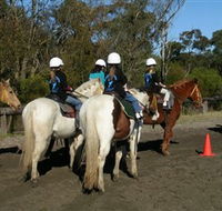 Darkes Forest Riding Ranch - Tourism Canberra