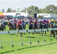 Morphettville Racecourse - Tourism Canberra