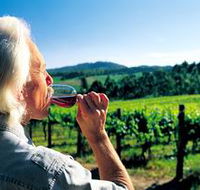 Ashton Hills Vineyard - Tourism Canberra