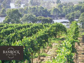 Banrock Station Wine And Wetland Centre - Tourism Canberra 0