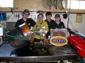 Melba's Chocolate And Confectionery Factory - Tourism Canberra 1