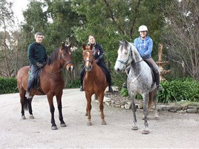 Academy Of Dressage - Tourism Canberra 0