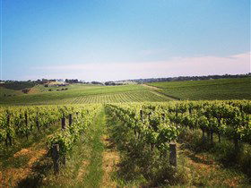 Adelaide Winemakers - Tourism Canberra 0