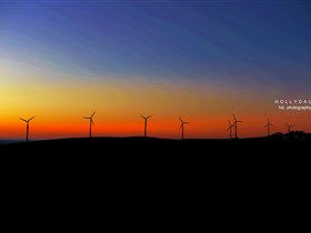 Starfish Hill Windfarm - Tourism Canberra 0