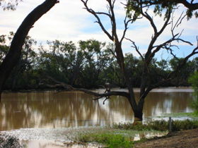 Allan Tannock Weir - Tourism Canberra 3