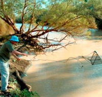 Charleville - Ward River Fishing Spot - Tourism Canberra