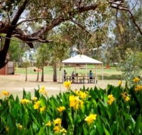 Charleville - Graham Andrews Parklands - Tourism Canberra