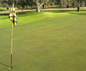 Wentworth Sporting Complex - Tourism Canberra 0