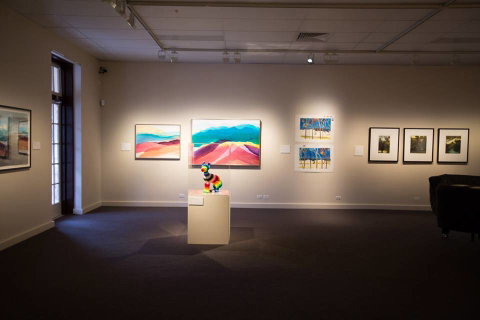 Perc Tucker Regional Gallery - Tourism Canberra 5