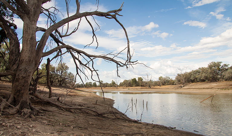 Wanaaring NSW Tourism Canberra
