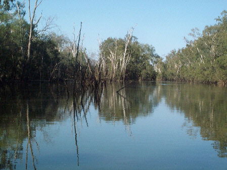 Charleville - 18 Mile Warrego River Fishing - Tourism Canberra 1