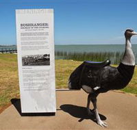 Birdman of the Coorong - Tourism Canberra