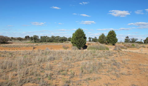 Zanci Pastoral Loop - Tourism Canberra 3