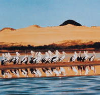 Coorong National Park - Tourism Canberra