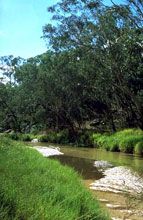 Salvator Rosa Section - Carnarvon National Park - Tourism Canberra 0