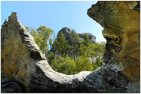Salvator Rosa Section - Carnarvon National Park - Tourism Canberra 1