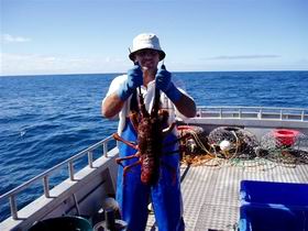 Lacepede Seafood - Tourism Canberra 2