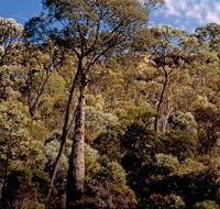 Ka Ka Mundi Carnarvon National Park - Tourism Canberra