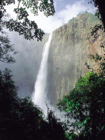 Wallaman Falls, Girringun National Park - Tourism Canberra 1