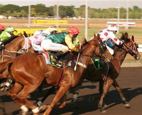 Darwin Turf Club - Tourism Canberra 1