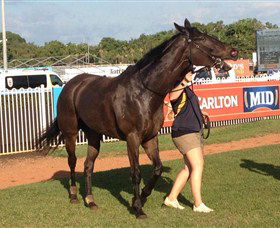 Darwin Turf Club - Tourism Canberra 2