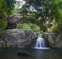 Paluma and Crystal Creek Rainforest - Tourism Canberra