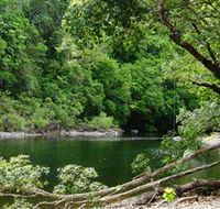Broadwater Abergowrie State Forest - Tourism Canberra