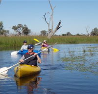 Marsh Meanders - Tourism Canberra