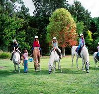 Limestone Coast Horseriding - Tourism Canberra