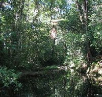 Wabunga Wayemba Charmillan Creek walking track - Tourism Canberra