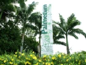 Townsville Palmetum - Tourism Canberra 0