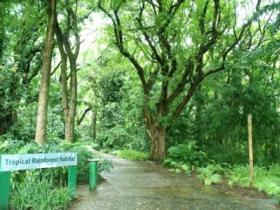 Townsville Palmetum - Tourism Canberra 1