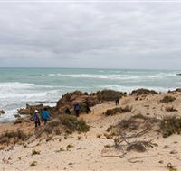 The Seaview Walking Trail - Tourism Canberra