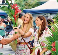 Flinders Street Shopping - Tourism Canberra