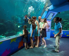 Reef HQ Aquarium - Tourism Canberra 2