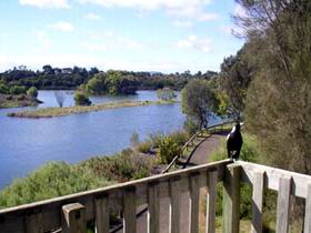 Lake McIntyre - Tourism Canberra 0