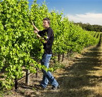 Patrick of Coonawarra - Tourism Canberra