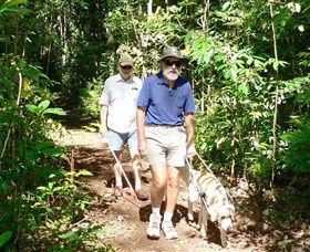 Wongabel State Forest - Tourism Canberra 0