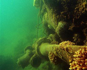Wreck Diving At Magnetic Island - Tourism Canberra 0