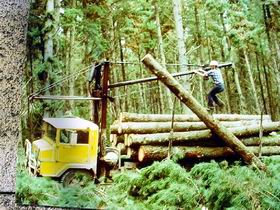 Nangwarry Forestry And Logging Museum - Tourism Canberra 3