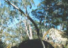 Chetwynd ACT Tourism Canberra