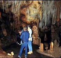 Tantanoola Caves Conservation Park - Tourism Canberra