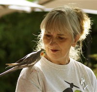 Simply Tomatoes - Tourism Canberra