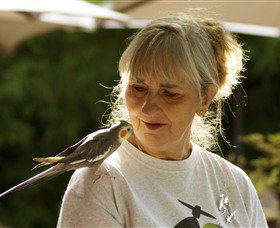 Simply Tomatoes - Tourism Canberra 0